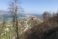 IMG_2427-Kopie