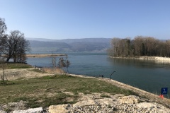 IMG_2470
