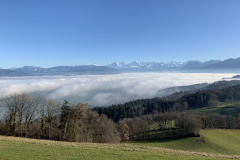 IMG_6150