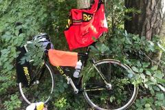 PHOTO-2022-08-21-20-07-57-1